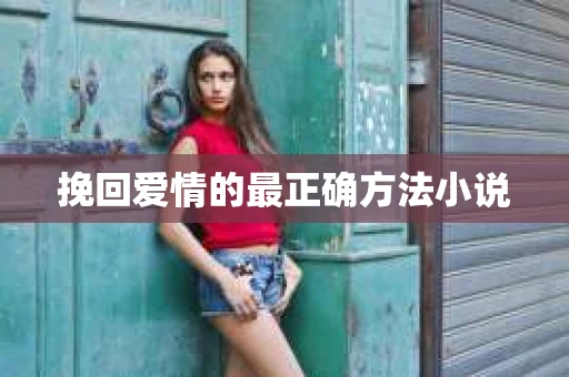 挽回爱情的最正确方法小说