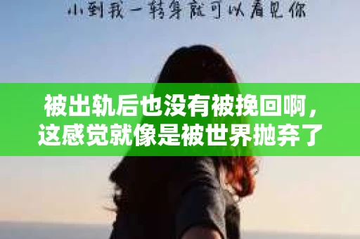 被出轨后也没有被挽回啊，这感觉就像是被世界抛弃了一样。我曾经也经历过这样的事情，那种心如刀割的痛，至今仍记忆犹新。今天，我想和大家聊聊这个话题，希望能给那些正在经历或者曾经经历过类似痛苦的人一些安慰和帮助。
