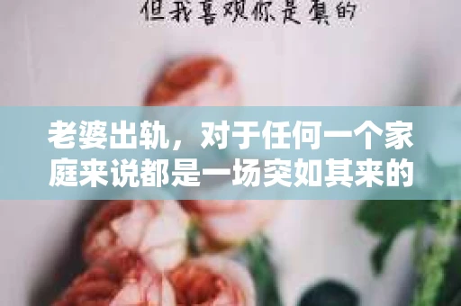老婆出轨，对于任何一个家庭来说都是一场突如其来的风暴。面对这样的困境，如何挽回婚姻，重拾家庭的和谐，成为了许多人迫切想要了解的问题。今天，我们就来聊聊这个敏感而现实的话题——老婆出轨最好的挽回办法。