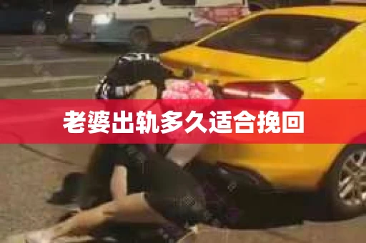 老婆出轨多久适合挽回