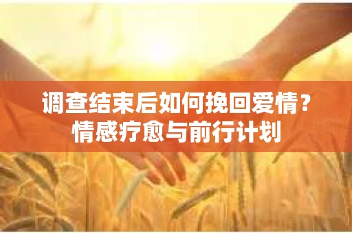 调查结束后如何挽回爱情？情感疗愈与前行计划