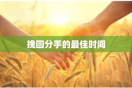 挽回分手的最佳时间