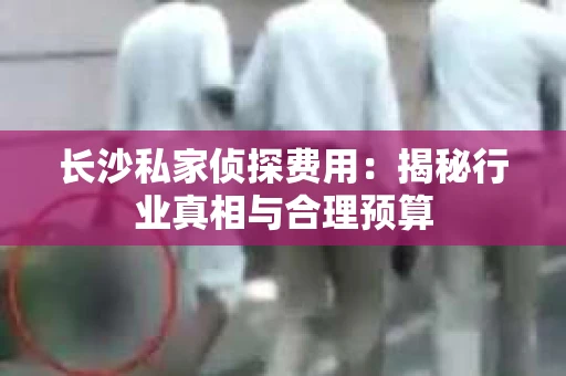 长沙私家侦探费用：揭秘行业真相与合理预算