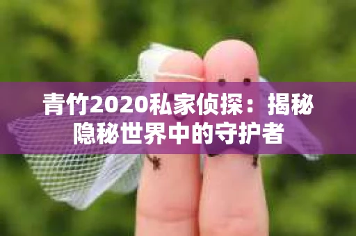 青竹2020私家侦探：揭秘隐秘世界中的守护者