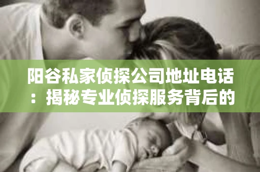 阳谷私家侦探公司地址电话：揭秘专业侦探服务背后的故事