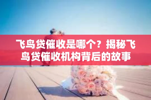 飞鸟贷催收是哪个？揭秘飞鸟贷催收机构背后的故事
