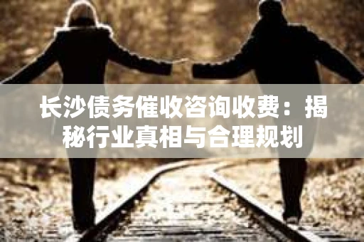 长沙债务催收咨询收费：揭秘行业真相与合理规划
