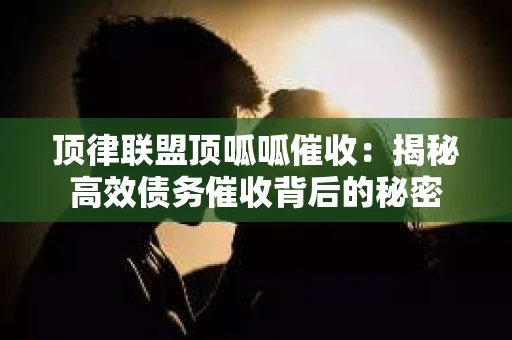 顶律联盟顶呱呱催收：揭秘高效债务催收背后的秘密