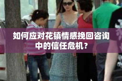 如何应对花镇情感挽回咨询中的信任危机？