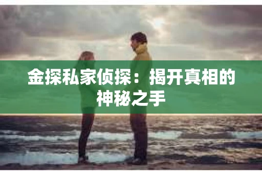 金探私家侦探：揭开真相的神秘之手