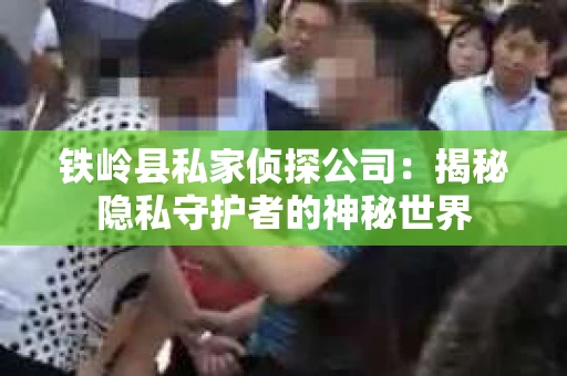 铁岭县私家侦探公司：揭秘隐私守护者的神秘世界