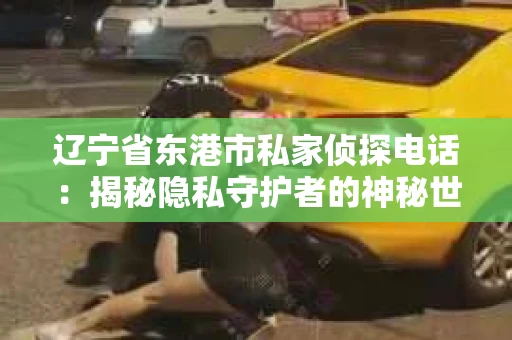 辽宁省东港市私家侦探电话：揭秘隐私守护者的神秘世界