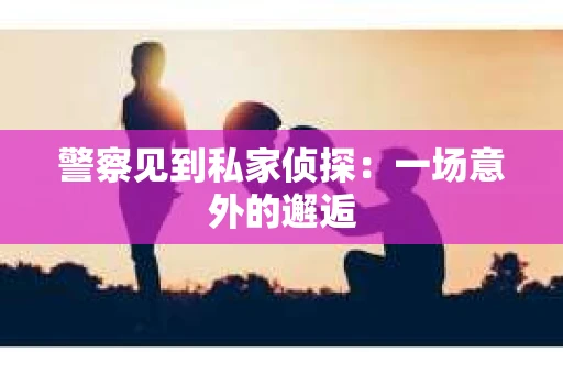 警察见到私家侦探：一场意外的邂逅