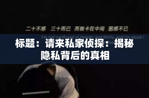 标题：请来私家侦探：揭秘隐私背后的真相