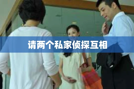 请两个私家侦探互相