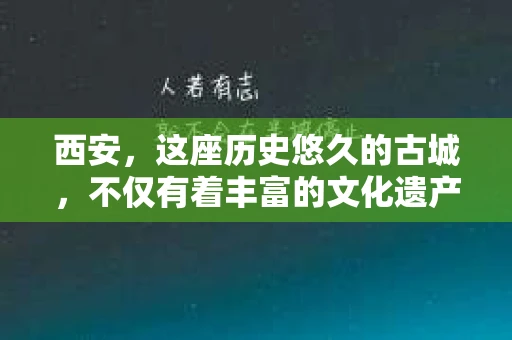 西安，这座历史悠久的古城，不仅有着丰富的文化遗产，也有着现代社会的各种需求。今天，我们就来聊聊一个比较特别的话题——西安有没有私家侦探。