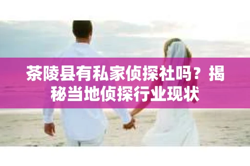 茶陵县有私家侦探社吗？揭秘当地侦探行业现状