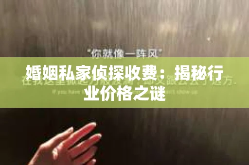 婚姻私家侦探收费：揭秘行业价格之谜