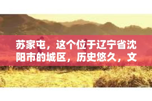 苏家屯，这个位于辽宁省沈阳市的城区，历史悠久，文化底蕴深厚。近年来，随着社会的发展，人们对于私家侦探的需求也逐渐增加。那么，苏家屯有私家侦探吗？今天，我们就来聊聊这个话题。