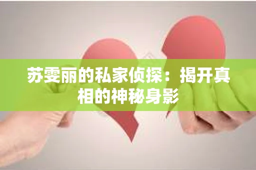 苏雯丽的私家侦探：揭开真相的神秘身影