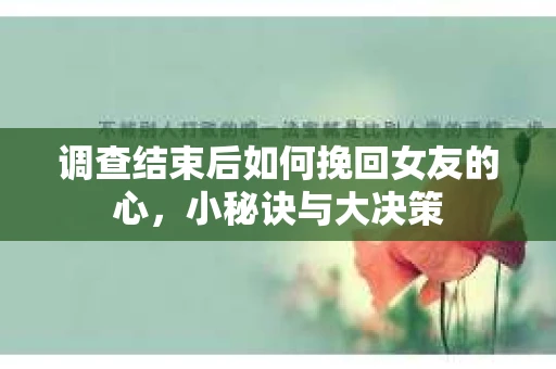 调查结束后如何挽回女友的心，小秘诀与大决策