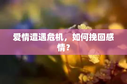 爱情遭遇危机，如何挽回感情？