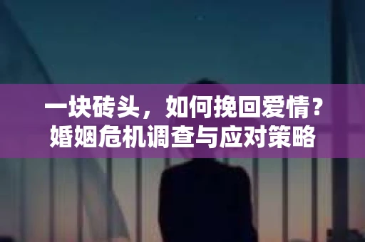 一块砖头，如何挽回爱情？婚姻危机调查与应对策略