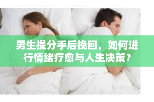 男生提分手后挽回，如何进行情绪疗愈与人生决策？