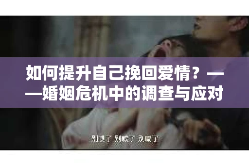 如何提升自己挽回爱情？——婚姻危机中的调查与应对策略