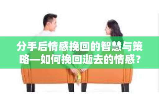 分手后情感挽回的智慧与策略—如何挽回逝去的情感？